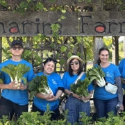 Feature image – Jan blog